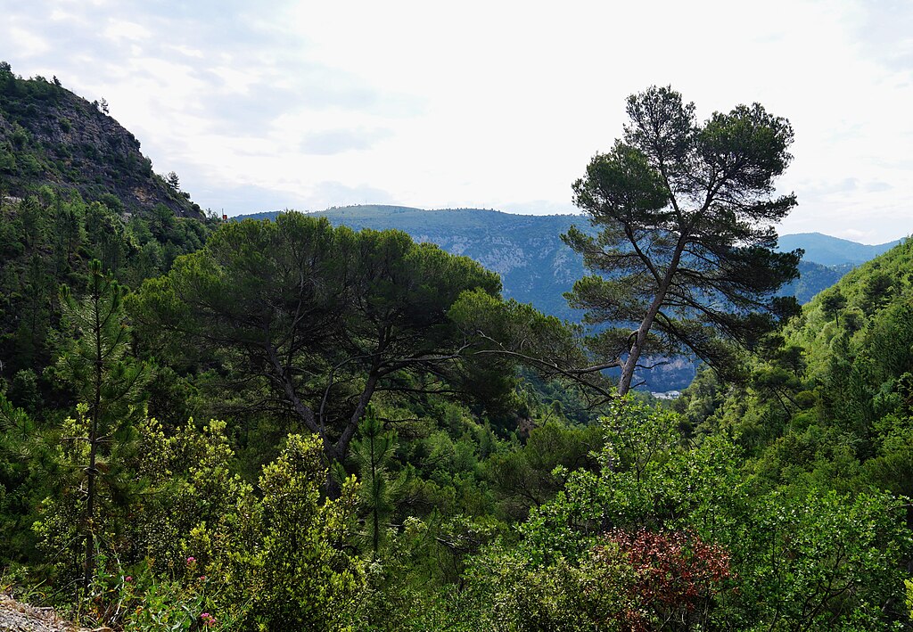 Chauffage Alpes-Maritimes