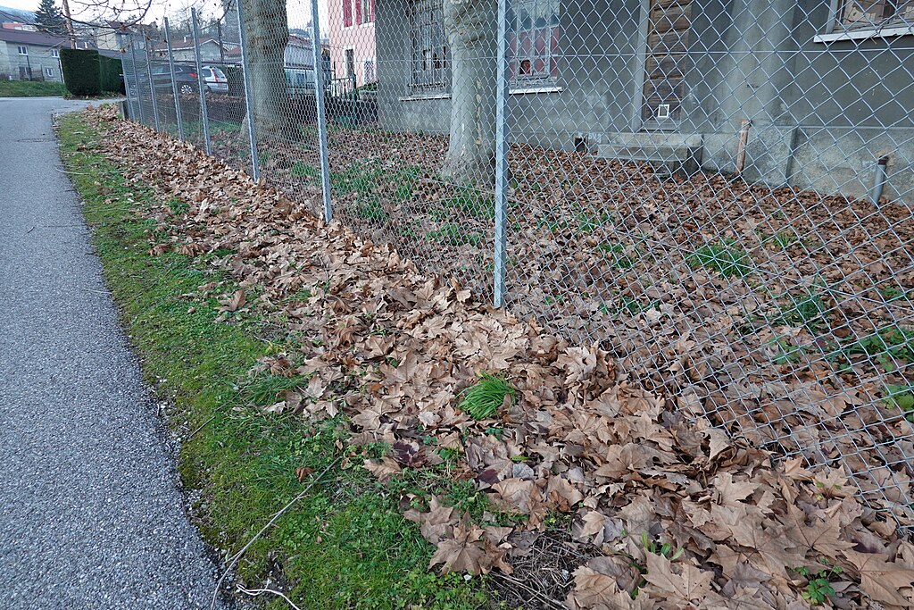 Chauffage Bellegarde-sur-Valserine