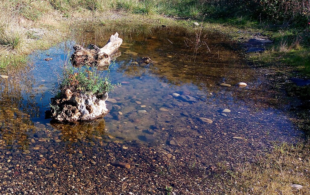 Chauffage Wittenheim