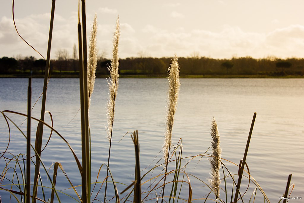 Chauffage Tournefeuille